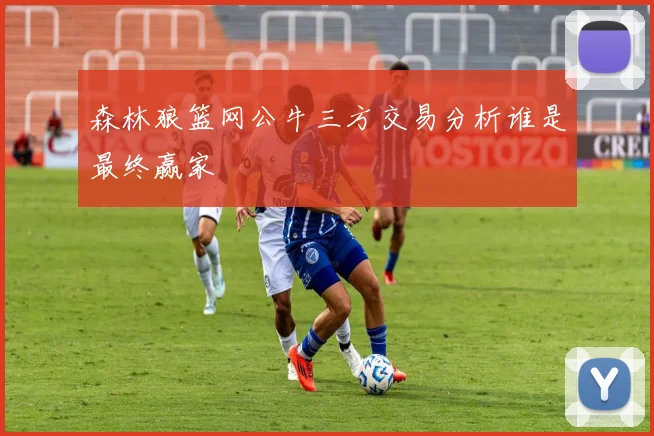 森林狼篮网公牛三方交易分析谁是最终赢家