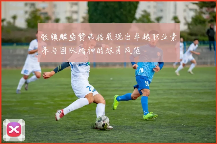张镇麟盛赞弗格展现出卓越职业素养与团队精神的球员风范