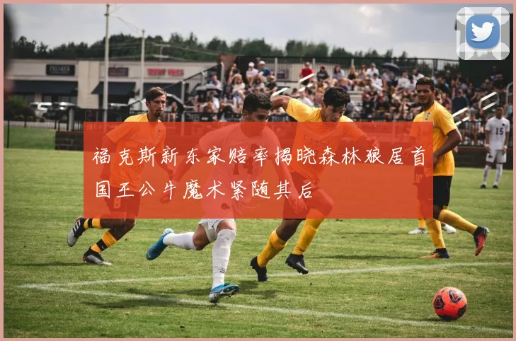 福克斯新东家赔率揭晓森林狼居首国王公牛魔术紧随其后